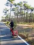 Nu op de fiets naar Aveiro