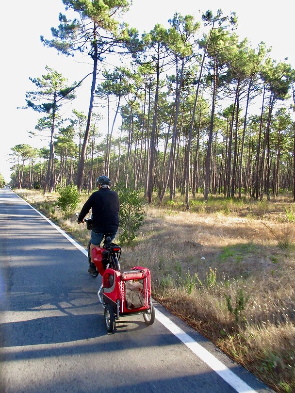Nu op de fiets naar Aveiro