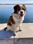 IMG_2535
