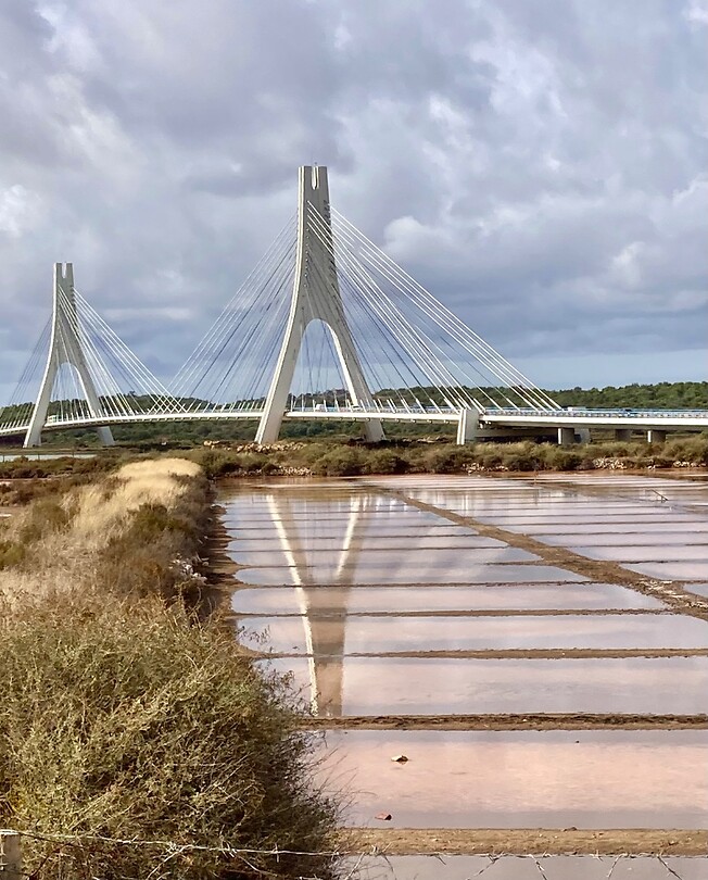 De brug spiegelt zich in een zoutpan