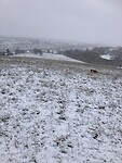 De winter valt in