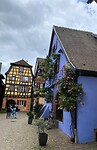 Vele opvallende kleuren in Riquewihr