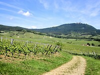 Haut-Koenigsbourg