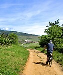 De laatste fietstocht