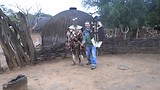 in de kraal 00004