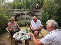 In de tuin