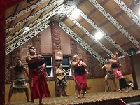 Maori show