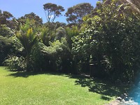 De tuin