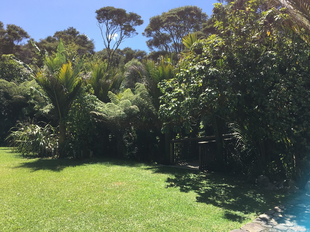 De tuin