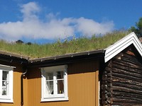 Dakbedekking