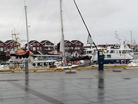 Haven Bodo.