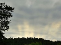 Buitenlucht vanavond 22.00u.