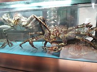 King's Crab vanavond.