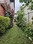 Tuin/el jardín.
