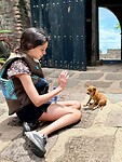 Hondje/Perrito
