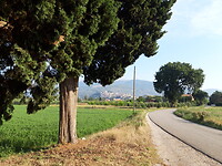 Van Spello via Bevagna naar Montefalco