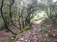 Van Stroncone naar Calvi.