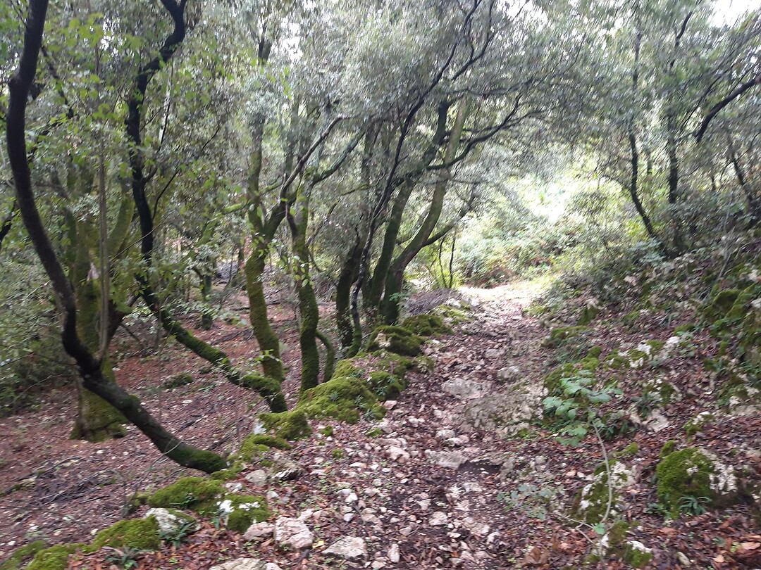 Van Stroncone naar Calvi.