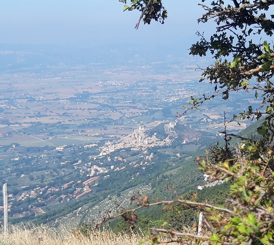 Van Assisi naar Spello
