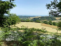 Lunch with a view