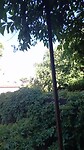 24 juni room with a view