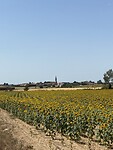 Onderweg, Borassà