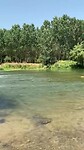 5 JULI, rustgevend watertje bij Sobràniques