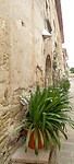 Monells