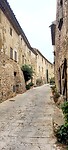 Monells
