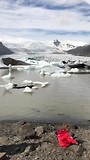 Fjallsarlon