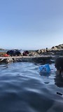 hotpot in het wild