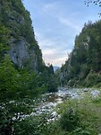 IMG_5209