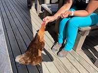 IMG_4811