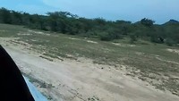 Take off from the bush