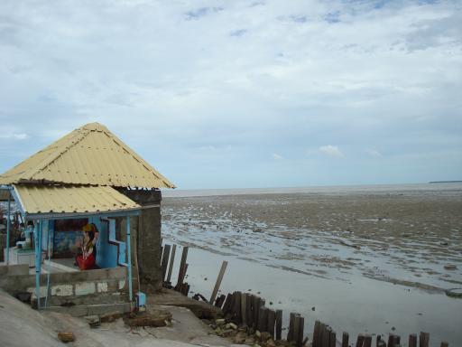 De weg naar zee Foto Vanhetbosnaardejungle