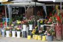 bloemenstal
