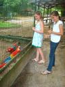 In de dierentuin