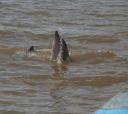 spelen rond de boot