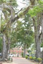 Fort Zeelandia