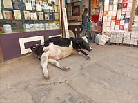 SAVE_20230305_145335