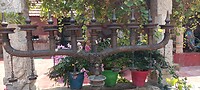 IMG_20230227_130157