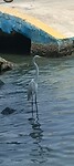 IMG_20230225_125249