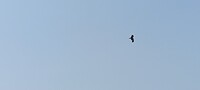 IMG_20230226_142049