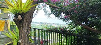 IMG_20230314_134056