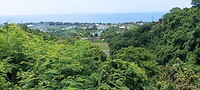 IMG_20230314_133949