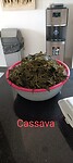 IMG_20230329_122600