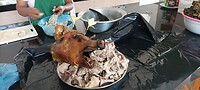 IMG_20230329_120203