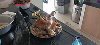 IMG_20230329_120149