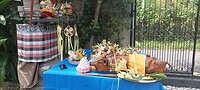 IMG_20230329_100433