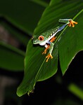 IMG-20240719-WA0009